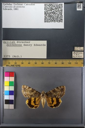 Media type: image;   Entomology 749317